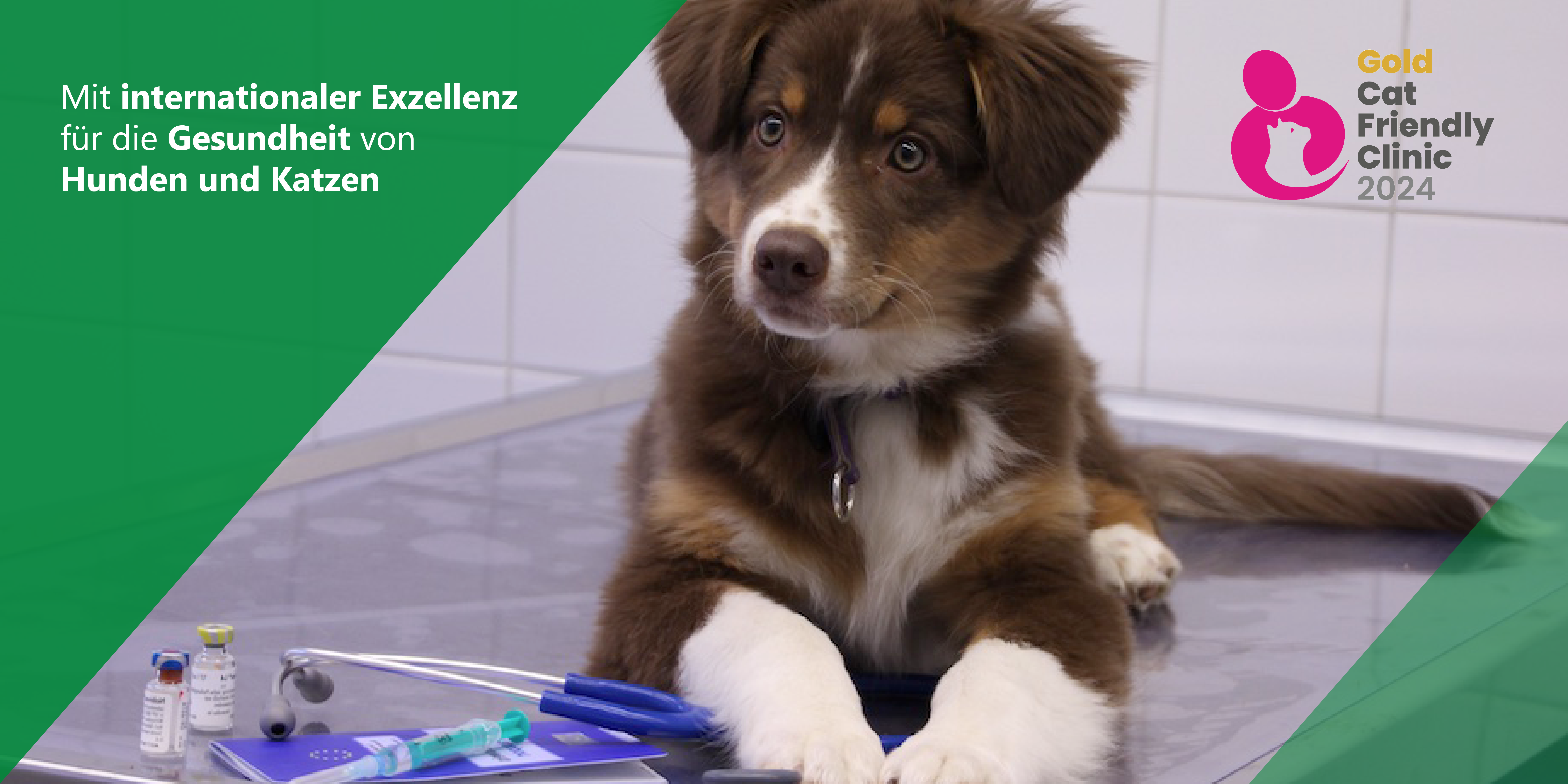 Teaserbild Kleintierklinik der LMU München